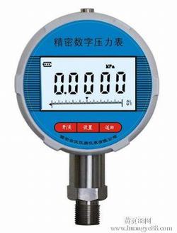 “株洲衛(wèi)生型數(shù)字壓力表采購“/