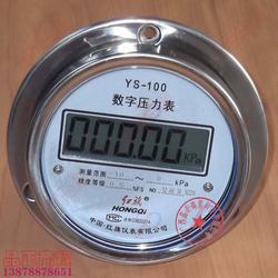 “長(zhǎng)春數(shù)字壓力表生產(chǎn)“/